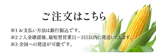 ご注文はこちら ※1 お支払い方法は銀行振込です。 ※2 ご入金確認後、最短翌営業日～3日以内に発送いたします。 ※3 全国への発送が可能です。